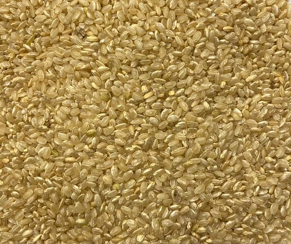 ARROZ INTEGRAL  (Cesta básica)