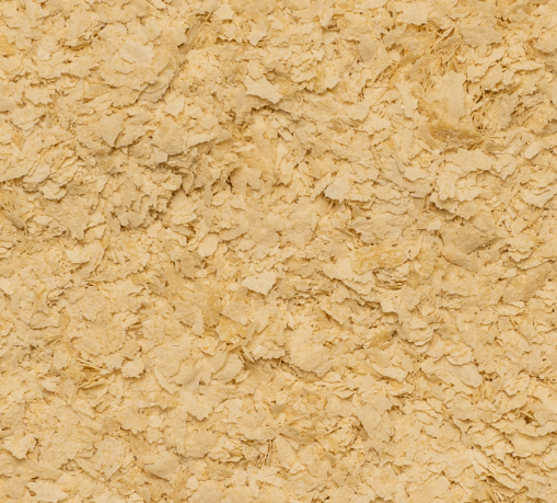 LEVEDURA NUTRICIONAL