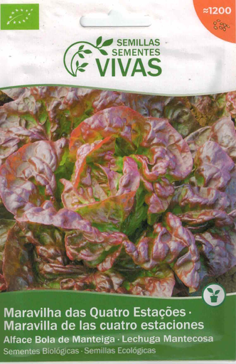 [5600713306069] SEMENTES LEITUGA CATRO ESTACIONS - VIVAS