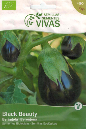 [5600713306359] SEMENTES BERENXENA BLACK BEAUTY - VIVAS
