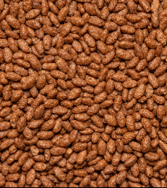 [401300005] ARROZ INCHADO CHOCOLATE